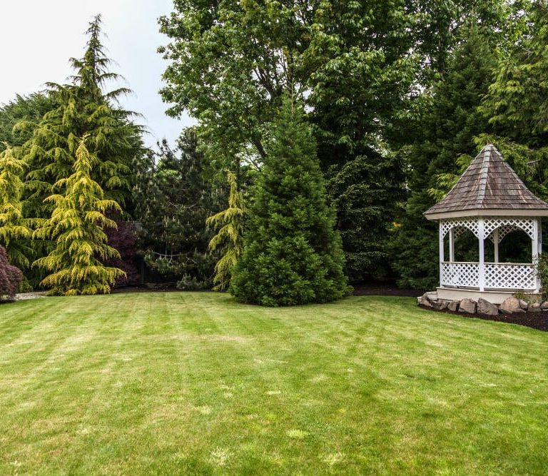 landscaping in Arlington Heights, Arlington Heights landscaping, landscaping services in Arlington Heights