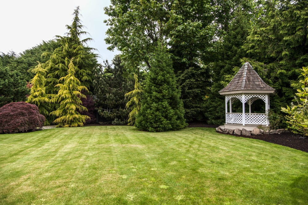 lawn care in Barrington Hills, Barrington Hills lawn care, top lawn care in Barrington Hills
