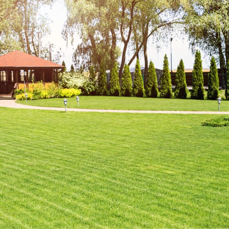 Salem turf care company Salem turf care, turf maintenance Salem, lawn care Northern Illinois